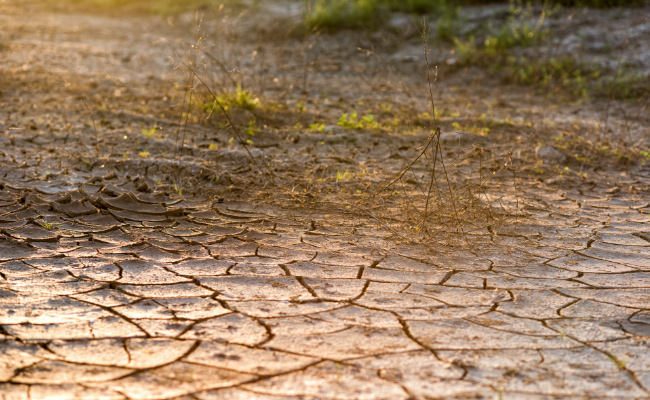 Catastrophe naturelle sécheresse 2022 rejetée