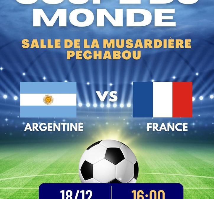 Retransmission de la finale de coupe de monde de foot