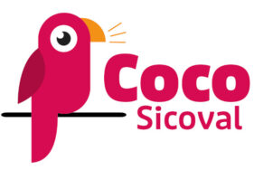 Coco : l’essentiel pour votre quotidien