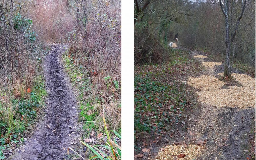 Une action citoyenne qui se poursuit…  appel à bénévoles !