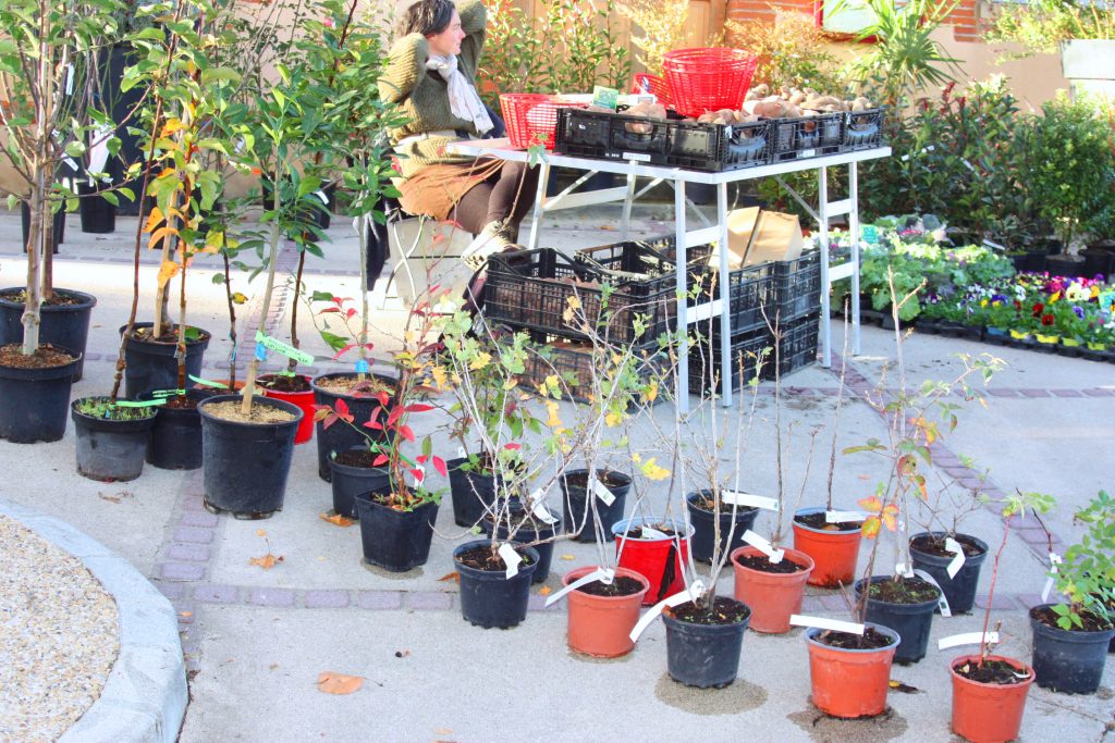Marché au gras et de l'artisanat 2023