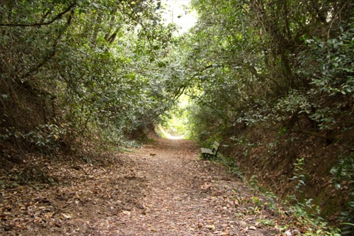 Fermeture du chemin du Charme