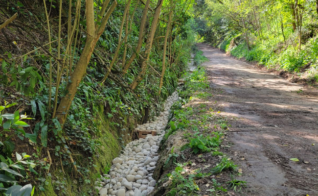 Le chemin du Charme retrouve de sa splendeur