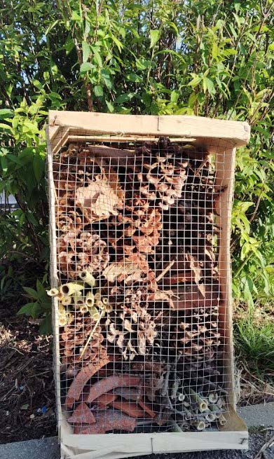 Les élèves de Pechabou investis pour la planète les hôtels à insectes
