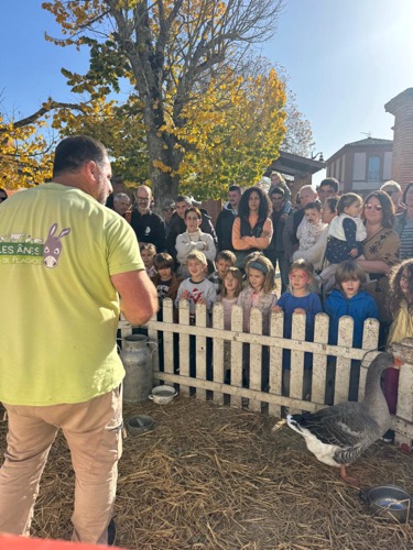 Marché au gras 2025