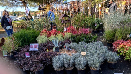 Marché au gras 2025