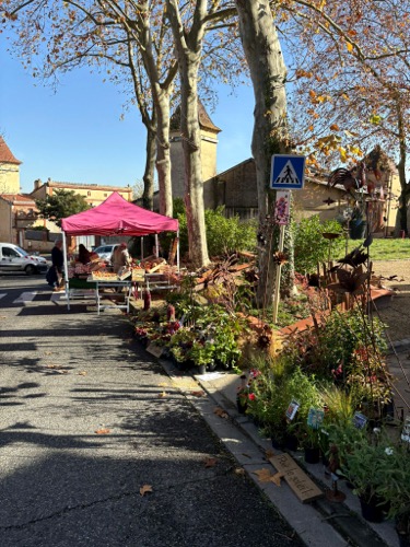 Marché au gras 2025
