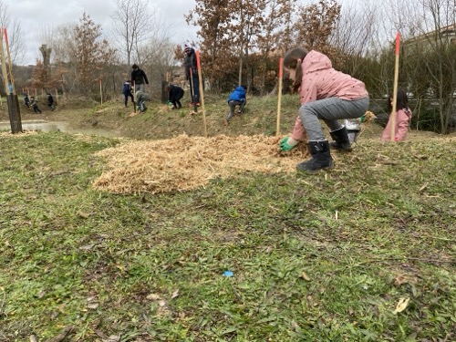 plantations ruisseau Maury