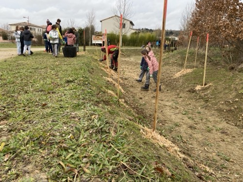 plantations ruisseau Maury
