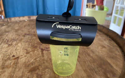 Les pièges à frelons sont disponibles en mairie