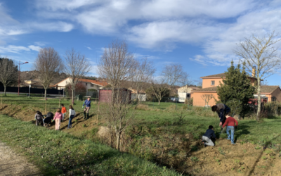 Les petites mains vertes de Pechabou en action au bord du Maury