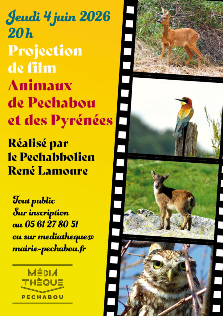 Film animaux sauvage 2026