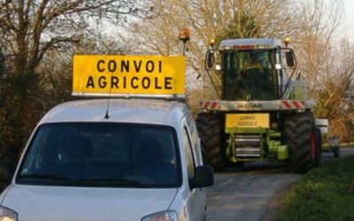 Travaux agricoles d’été