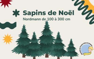 Vente groupée de sapin de Noël