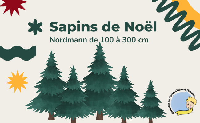 Vente groupée de sapin de Noël